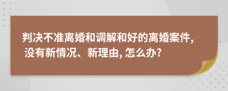 判决不准离婚和调解和好的离婚案件, 没有新情况、新理由, 怎么办?