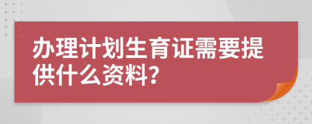 办理计划生育证需要提供什么资料？