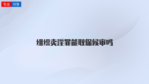 组织卖淫罪能取保候审吗