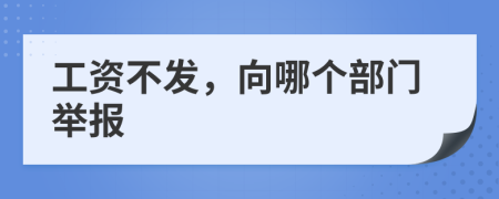 工资不发，向哪个部门举报