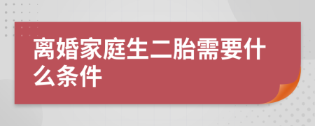 离婚家庭生二胎需要什么条件