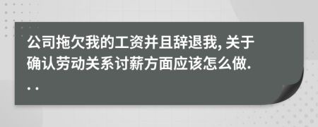 公司拖欠我的工资并且辞退我, 关于确认劳动关系讨薪方面应该怎么做. . .