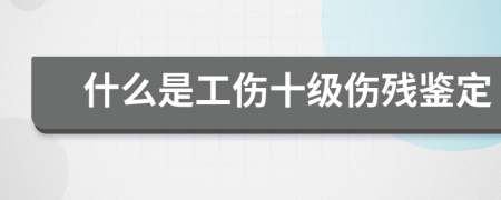 什么是工伤十级伤残鉴定