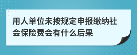 用人单位未按规定申报缴纳社会保险费会有什么后果