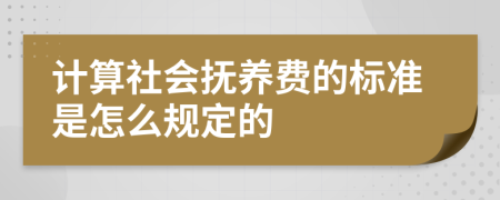 计算社会抚养费的标准是怎么规定的