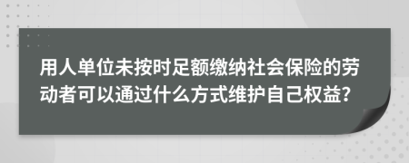 用人单位未按时足额缴纳社会保险的劳动者可以通过什么方式维护自己权益？