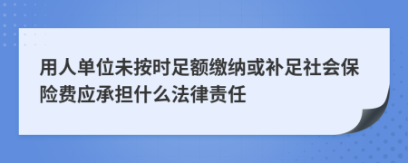 用人单位未按时足额缴纳或补足社会保险费应承担什么法律责任