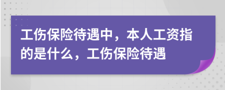 工伤保险待遇中，本人工资指的是什么，工伤保险待遇