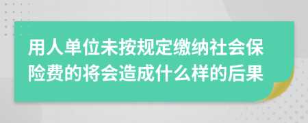 用人单位未按规定缴纳社会保险费的将会造成什么样的后果