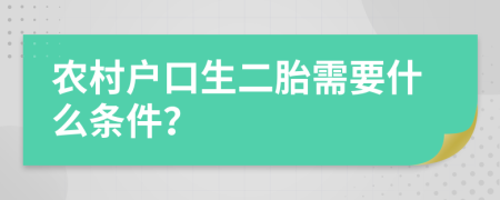 农村户口生二胎需要什么条件？