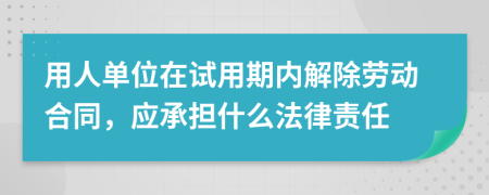 用人单位在试用期内解除劳动合同，应承担什么法律责任