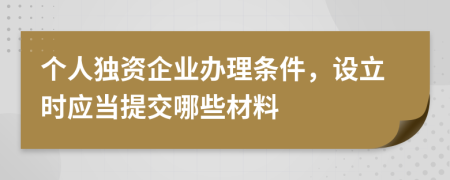 个人独资企业办理条件，设立时应当提交哪些材料