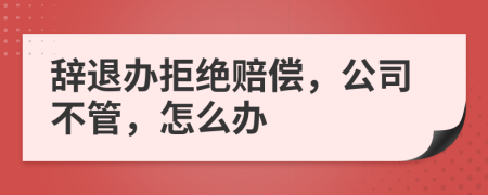 辞退办拒绝赔偿，公司不管，怎么办