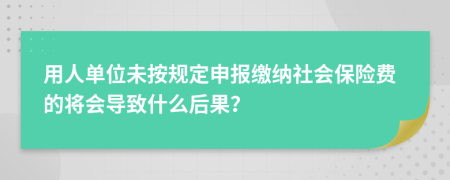 用人单位未按规定申报缴纳社会保险费的将会导致什么后果？