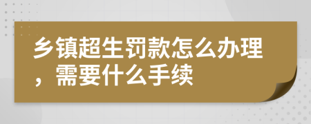 乡镇超生罚款怎么办理，需要什么手续