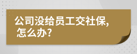 公司没给员工交社保, 怎么办?