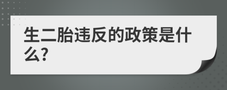 生二胎违反的政策是什么?