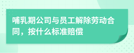 哺乳期公司与员工解除劳动合同，按什么标准赔偿