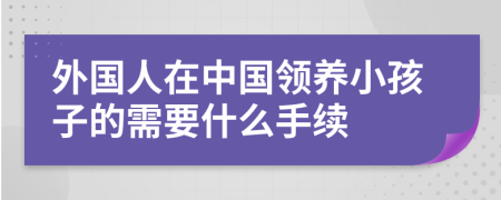 外国人在中国领养小孩子的需要什么手续