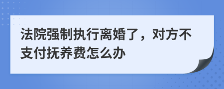 法院强制执行离婚了，对方不支付抚养费怎么办