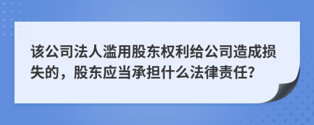 该公司法人滥用股东权利给公司造成损失的，股东应当承担什么法律责任？