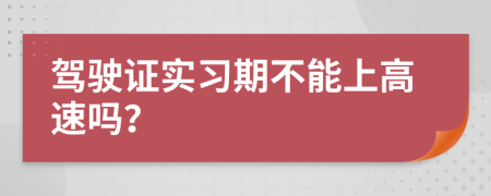 驾驶证实习期不能上高速吗？