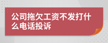 公司拖欠工资不发打什么电话投诉