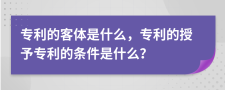 专利的客体是什么，专利的授予专利的条件是什么？