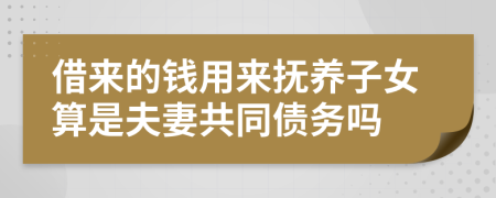 借来的钱用来抚养子女算是夫妻共同债务吗