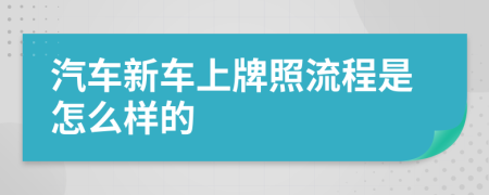 汽车新车上牌照流程是怎么样的