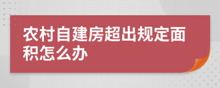 农村自建房超出规定面积怎么办