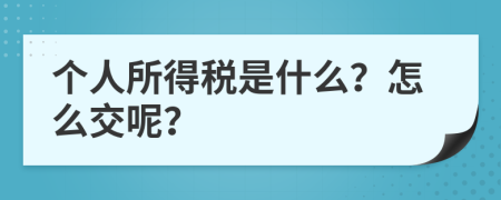 个人所得税是什么？怎么交呢？