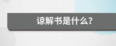 谅解书是什么？
