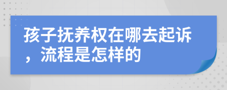 孩子抚养权在哪去起诉，流程是怎样的