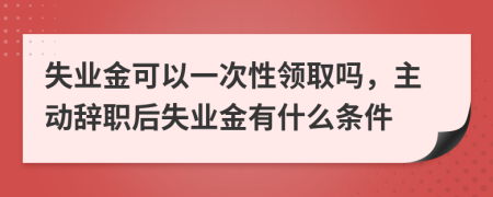 失业金可以一次性领取吗，主动辞职后失业金有什么条件