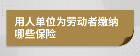 用人单位为劳动者缴纳哪些保险