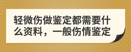 轻微伤做鉴定都需要什么资料，一般伤情鉴定