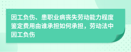 因工负伤、患职业病丧失劳动能力程度鉴定费用由谁承担如何承担，劳动法中因工负伤