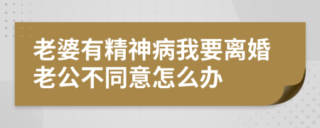 老婆有精神病我要离婚老公不同意怎么办