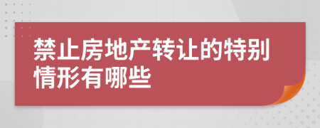 禁止房地产转让的特别情形有哪些