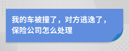 我的车被撞了，对方逃逸了，保险公司怎么处理