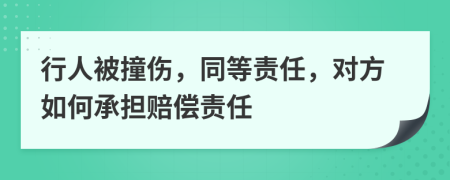 行人被撞伤，同等责任，对方如何承担赔偿责任