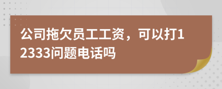 公司拖欠员工工资，可以打12333问题电话吗