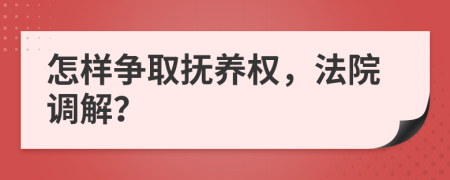 怎样争取抚养权，法院调解？