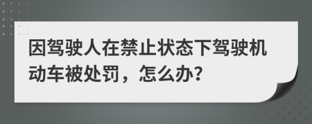 因驾驶人在禁止状态下驾驶机动车被处罚，怎么办？