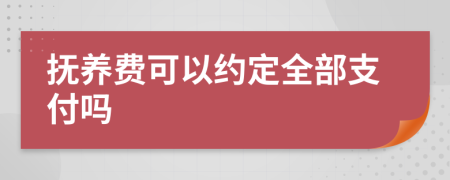 抚养费可以约定全部支付吗