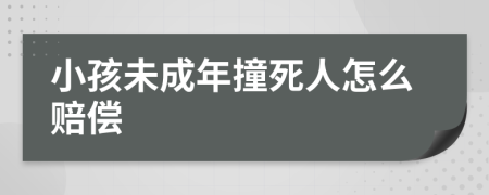 小孩未成年撞死人怎么赔偿