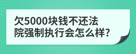 欠5000块钱不还法院强制执行会怎么样?