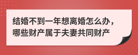 结婚不到一年想离婚怎么办，哪些财产属于夫妻共同财产