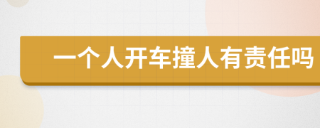 一个人开车撞人有责任吗